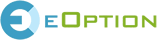 E Option